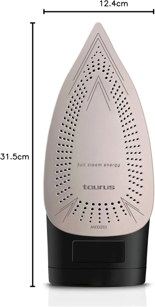 Taurus 918776 Iron Steam/Dry/Spray Anodized Black 330ml 3000W "Geyser Eco 3000"